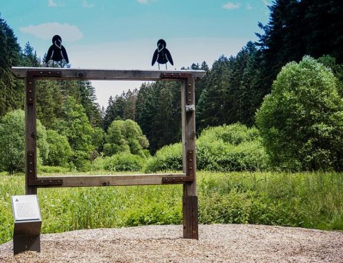 Wandern Schwarzwald – Krabbenweg Waldachtal