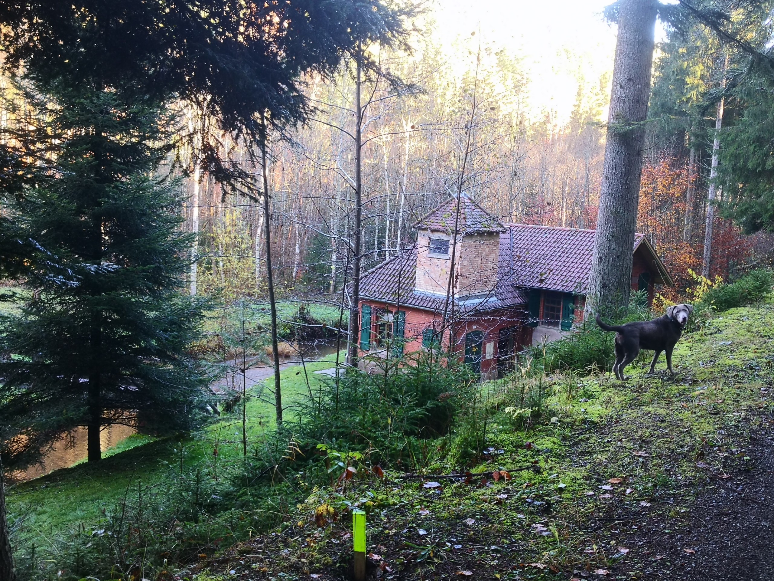 Wasserhäusle Bösingen, Urlaub im Schwarzwald