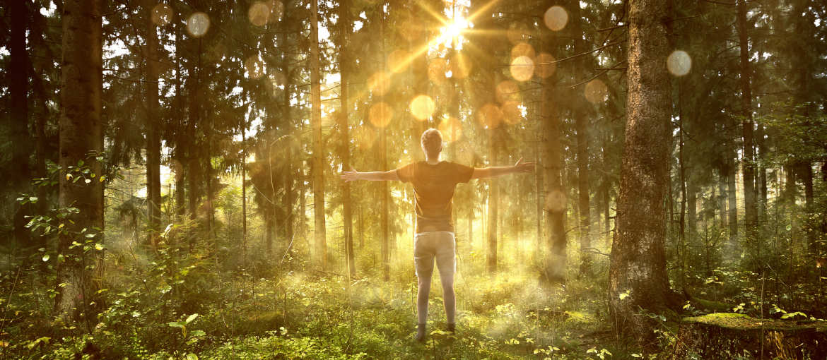 Morgens im Wald. Energie und Entspannung im Urlaub.